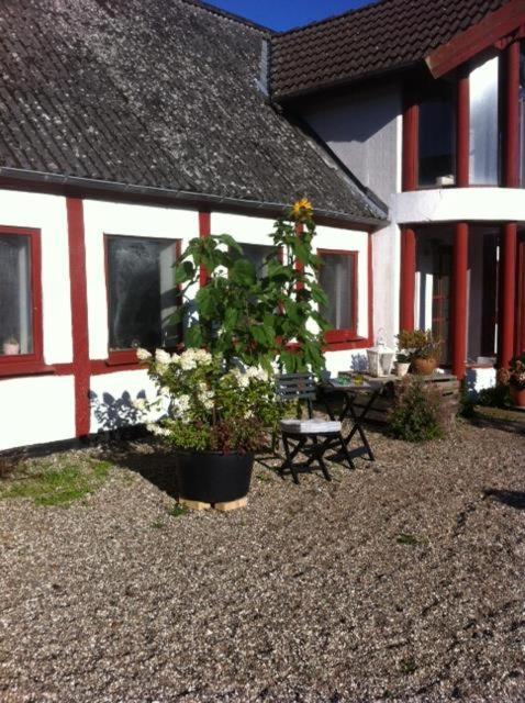 Bed and Breakfast Praestogaard Экстерьер фото