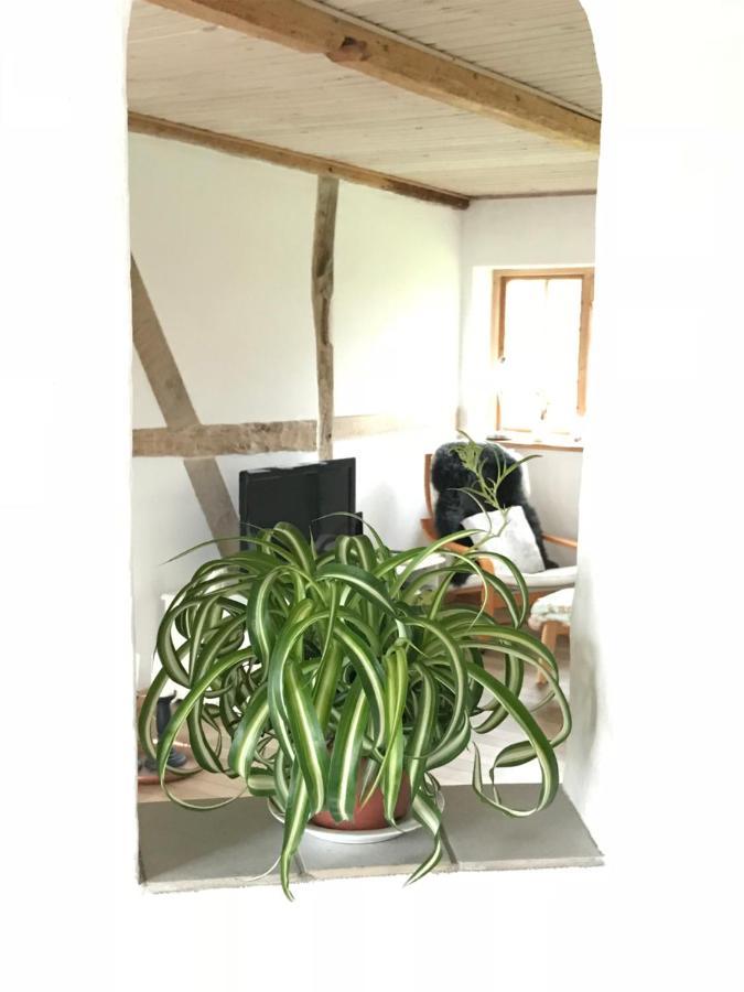 Bed and Breakfast Praestogaard Экстерьер фото